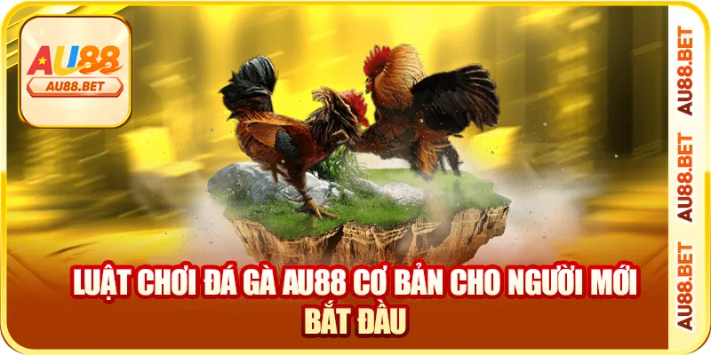 Luật chơi đá gà AU88 cơ bản cho người mới bắt đầu
